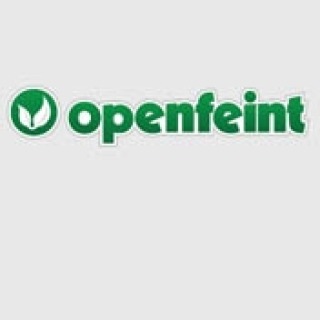 OpenFeint 将成为社交游戏领域的 Facebook，副总裁 Fassett 称